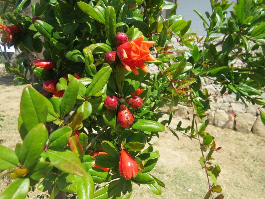 Camping Fiori Di Noto Buitenkant foto
