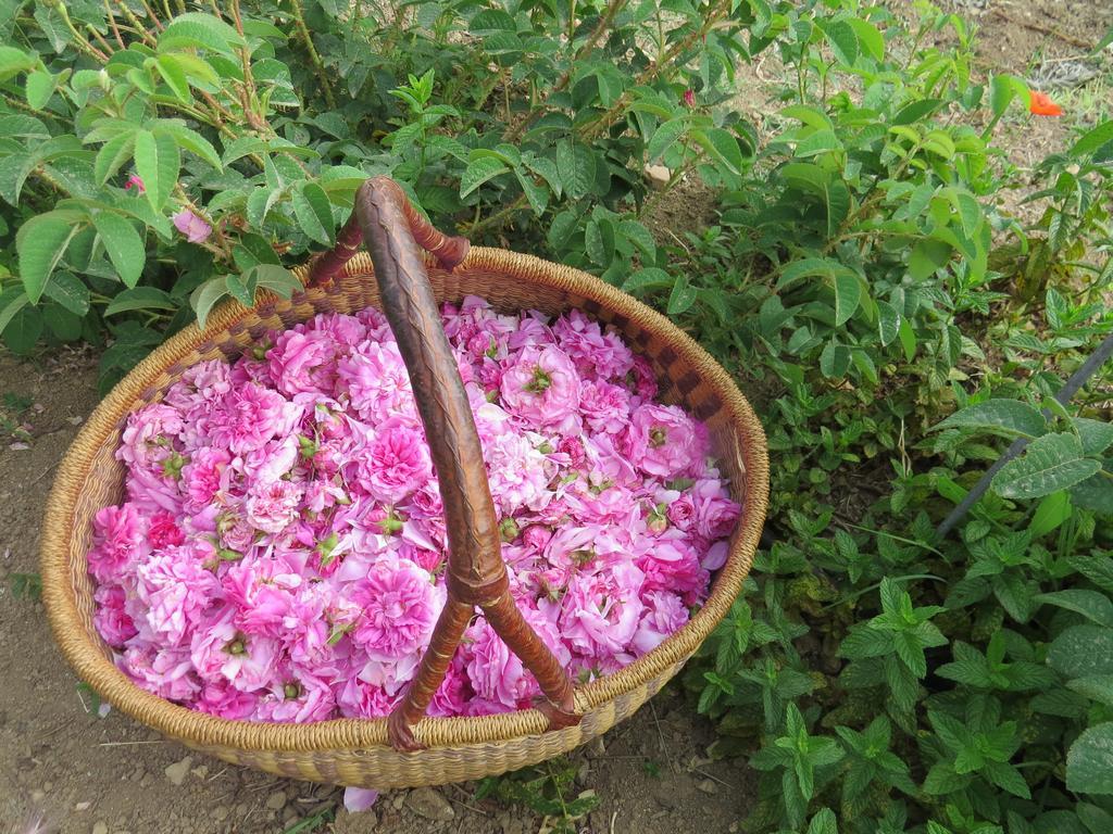 Camping Fiori Di Noto Buitenkant foto
