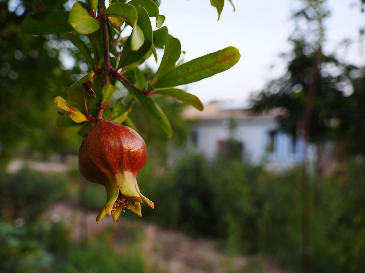 Camping Fiori Di Noto Buitenkant foto