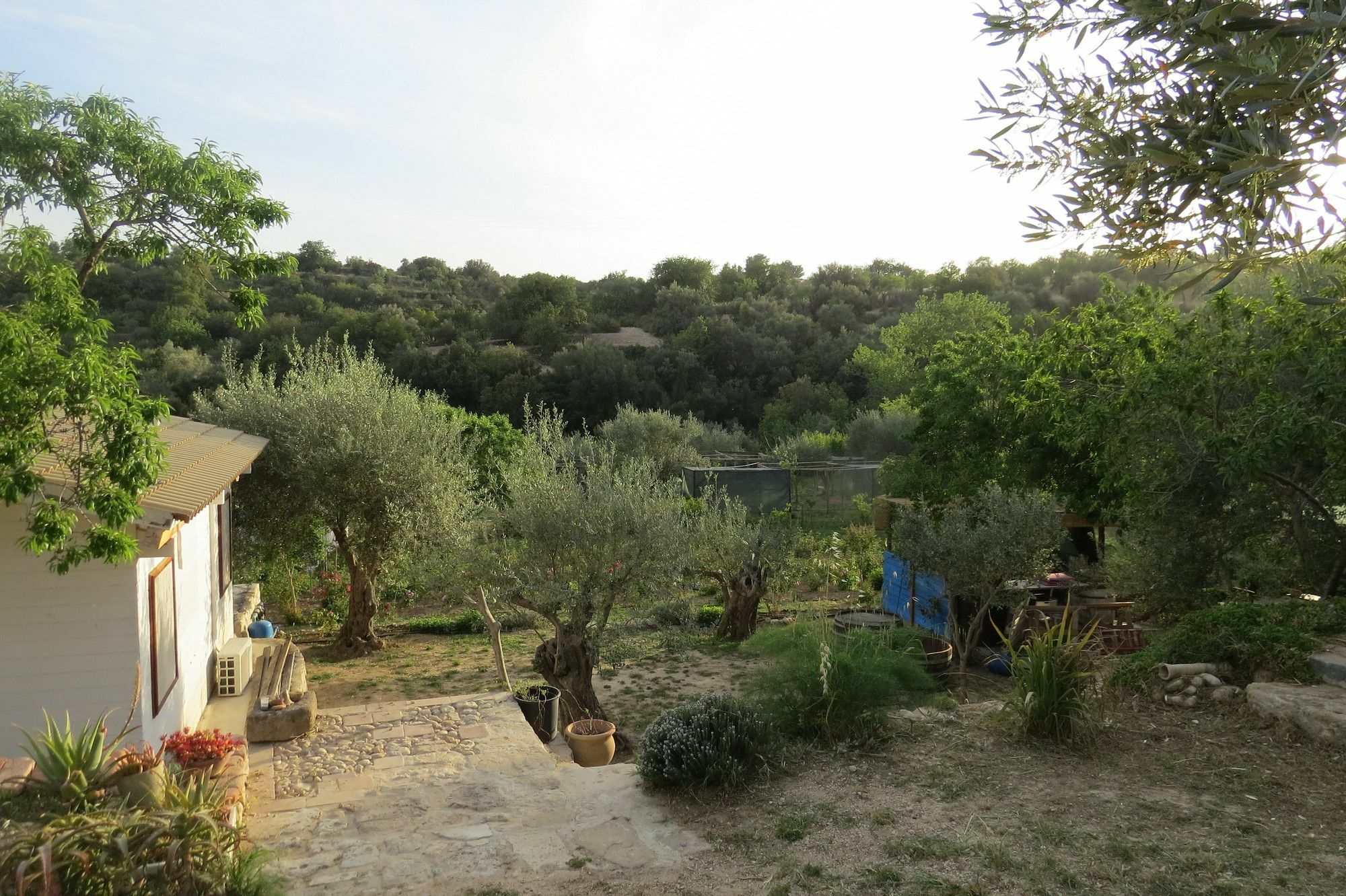 Camping Fiori Di Noto Buitenkant foto