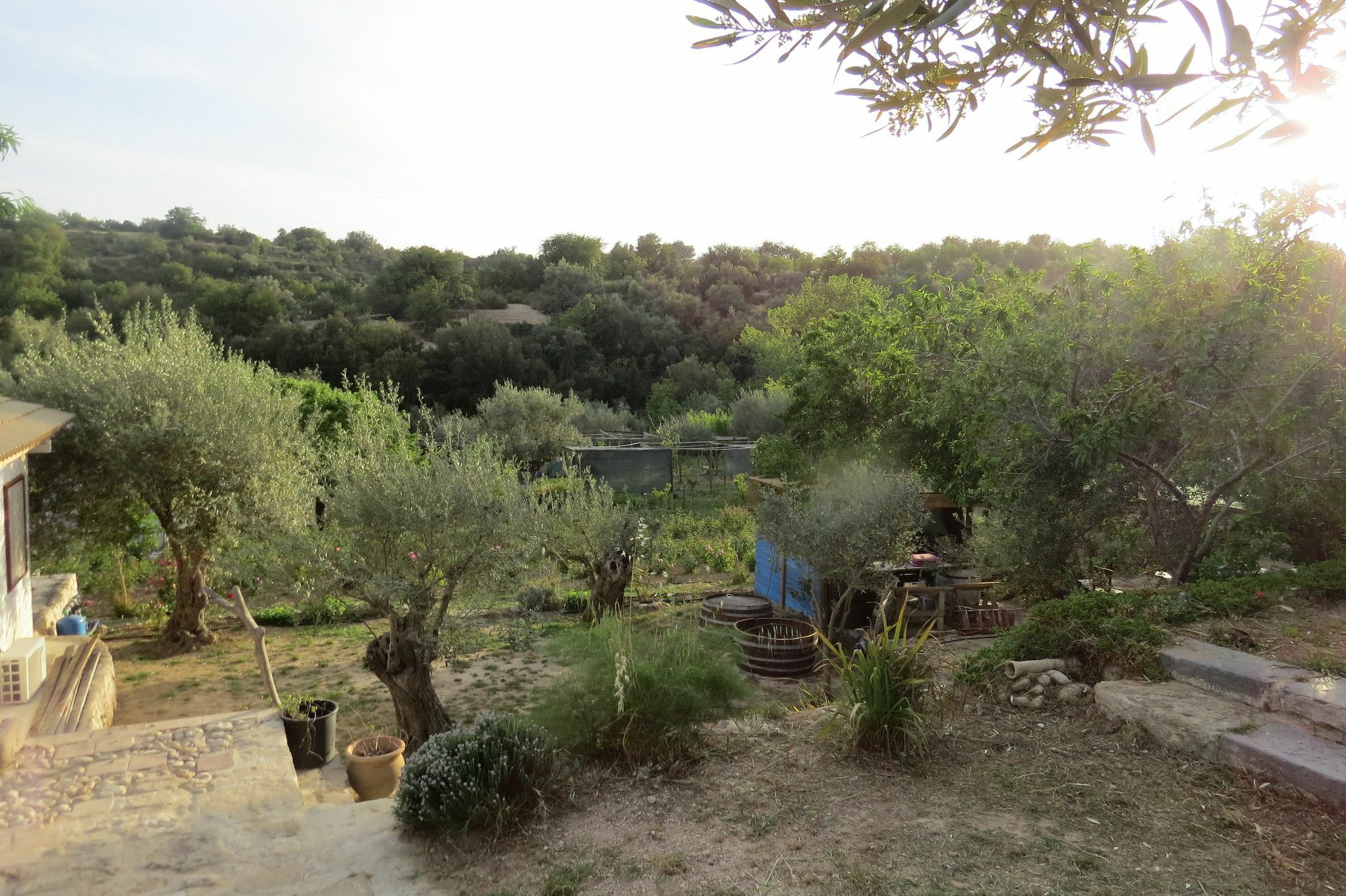 Camping Fiori Di Noto Buitenkant foto
